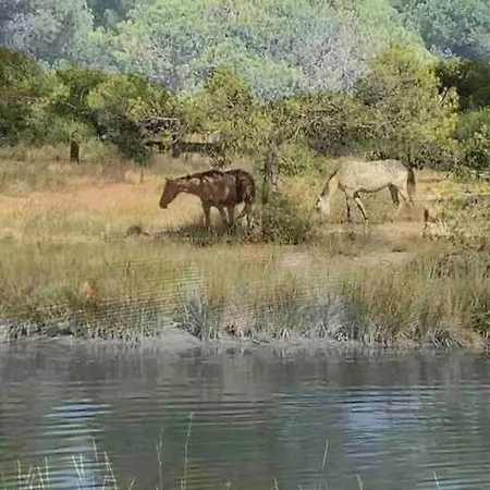 Cosy Parking,clim,terrasse,wifi Au Point Zero